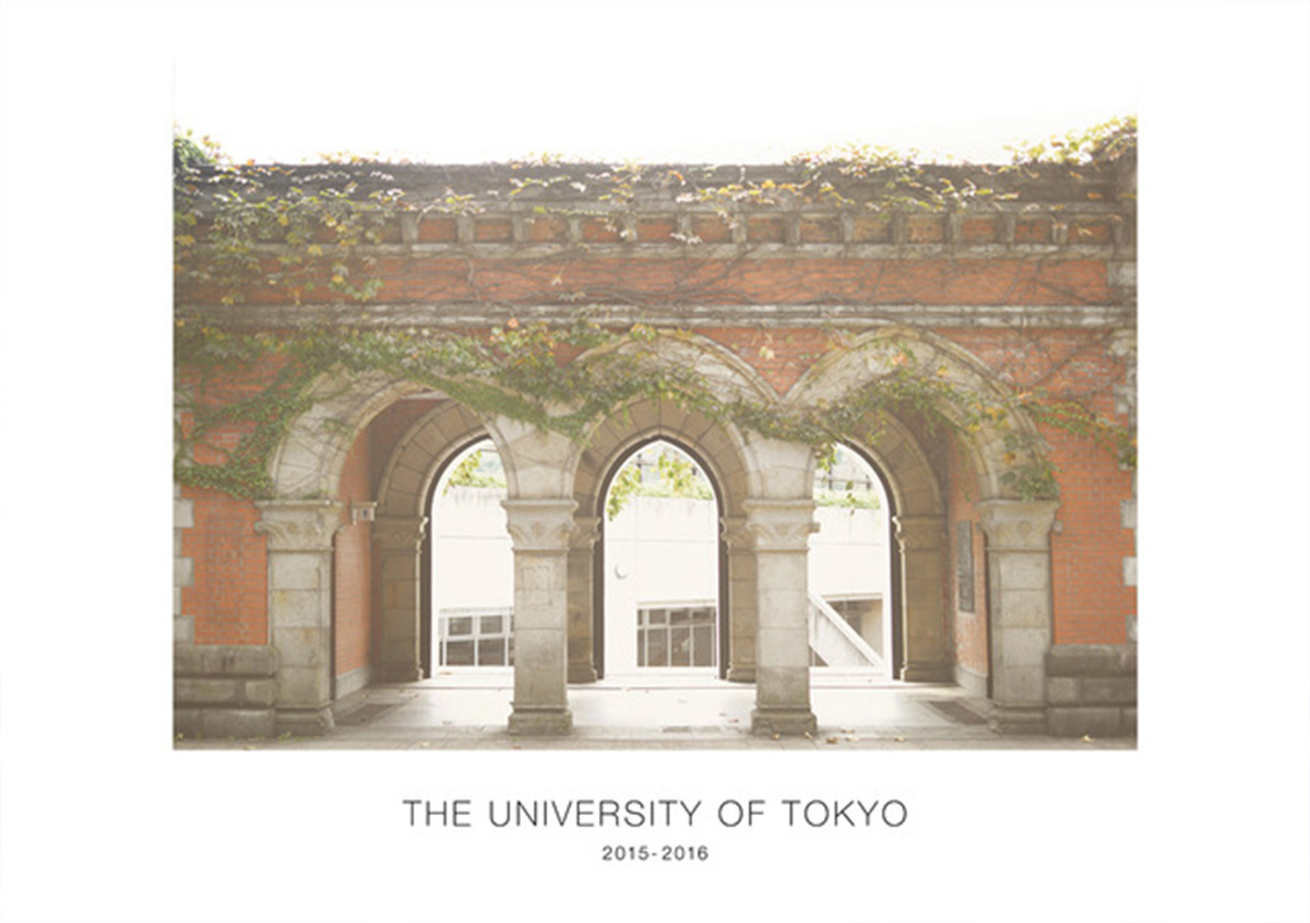 THE UNIVERSITY OF TOKYO
